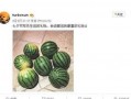 网络大瓜,揭秘娱乐圈幕后真相，带你走进明星隐私世界